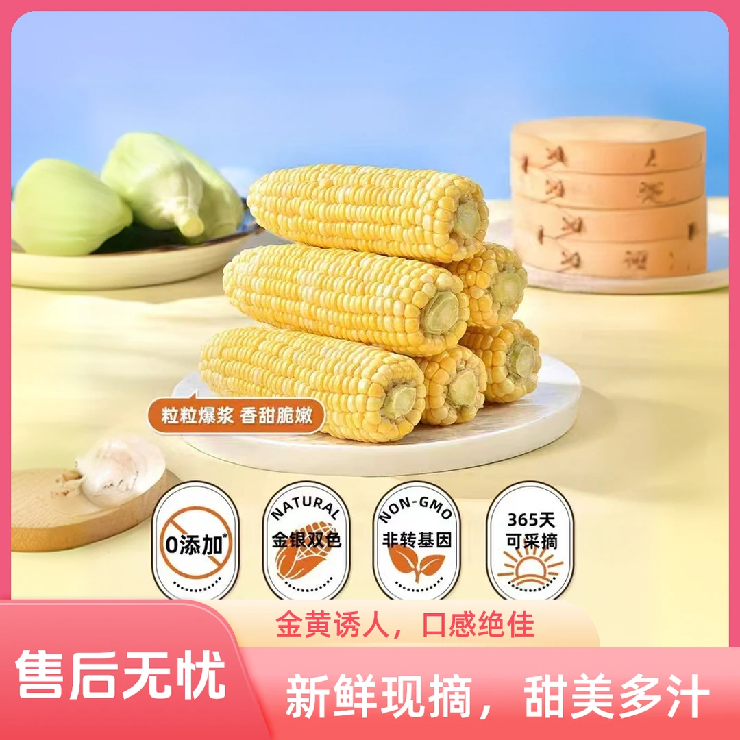 h云南特级老式非转基因新鲜可生吃上学出门早餐水果玉米