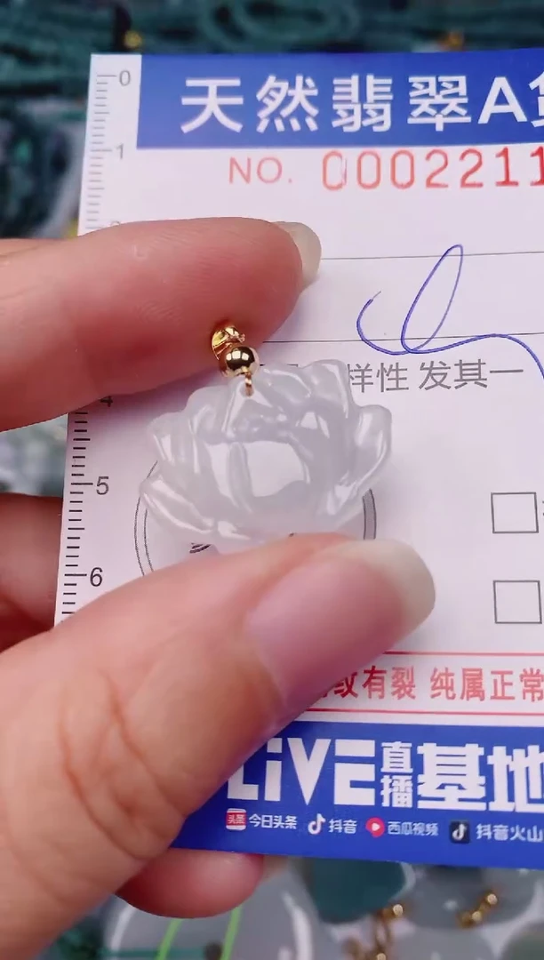 颈饰未镶嵌翡翠00002211