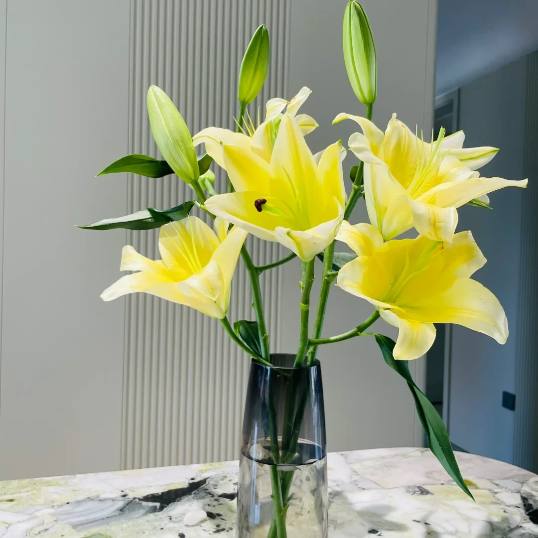 【 黄色百合花10朵】云南鲜花 全店任意两件升级顺丰送货上门