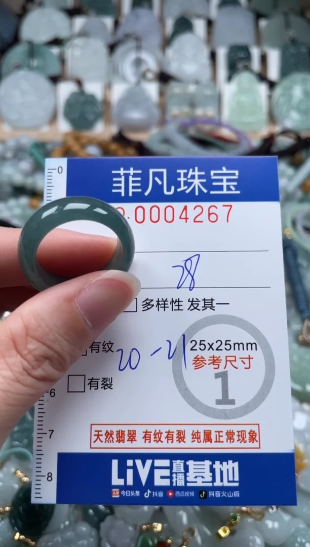 翡翠未镶嵌颈饰00..4267