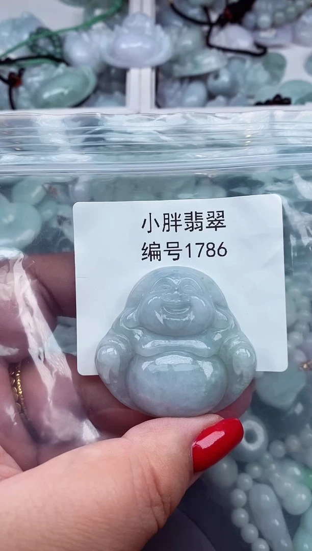 颈饰未镶嵌翡翠缅甸天然A货翡翠1786