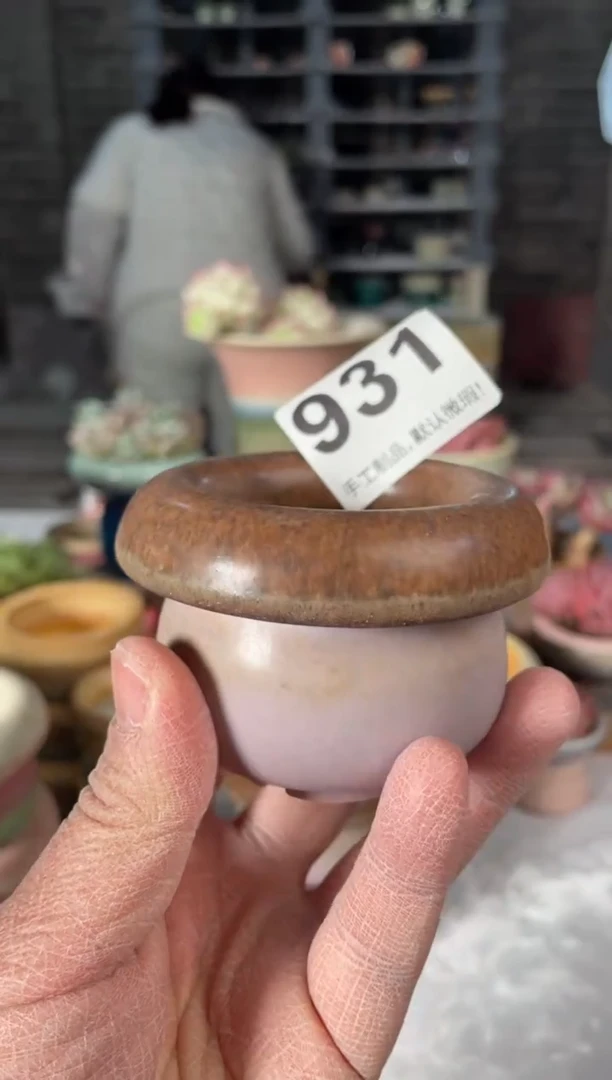 瓷片931小芳直播编号