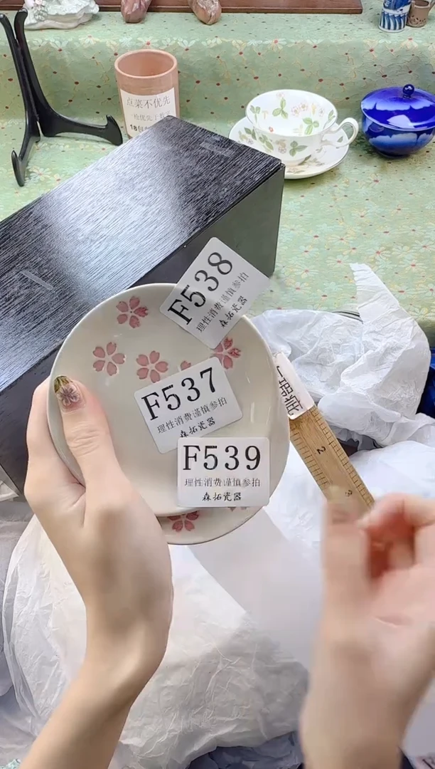 瓷片超**锅       F539