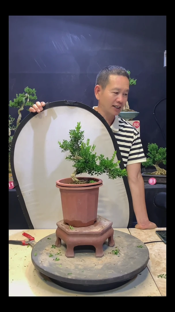 完全开放W*111111