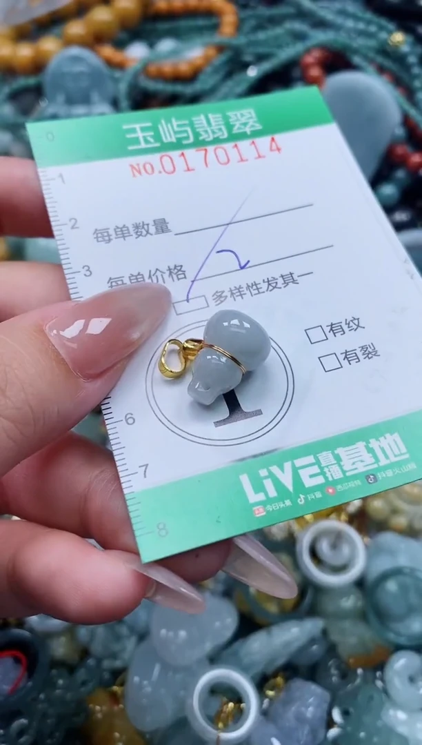 翡翠未镶嵌颈饰闪购0170114多样性发其一