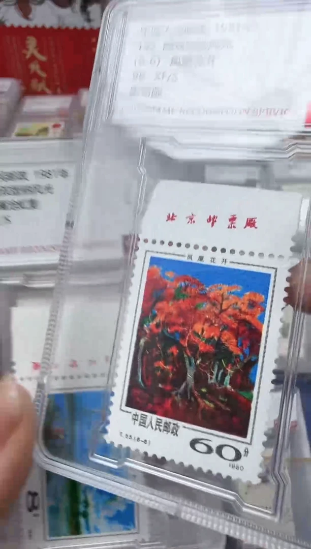 t55  西双版纳全厂铭套票