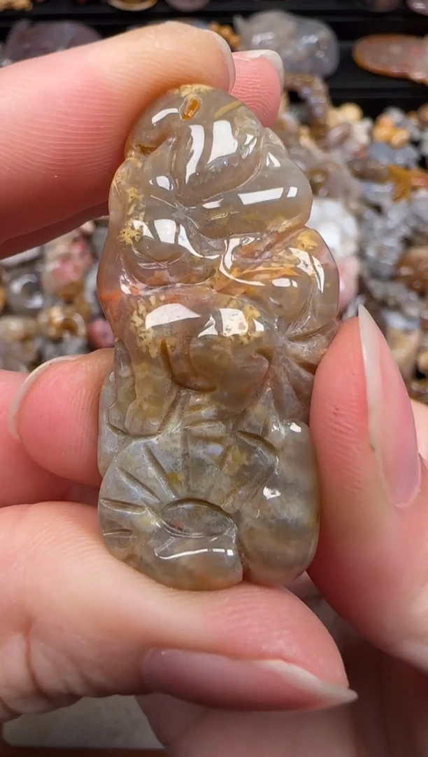 硅化珊瑚（珊瑚玉）未镶嵌颈饰668