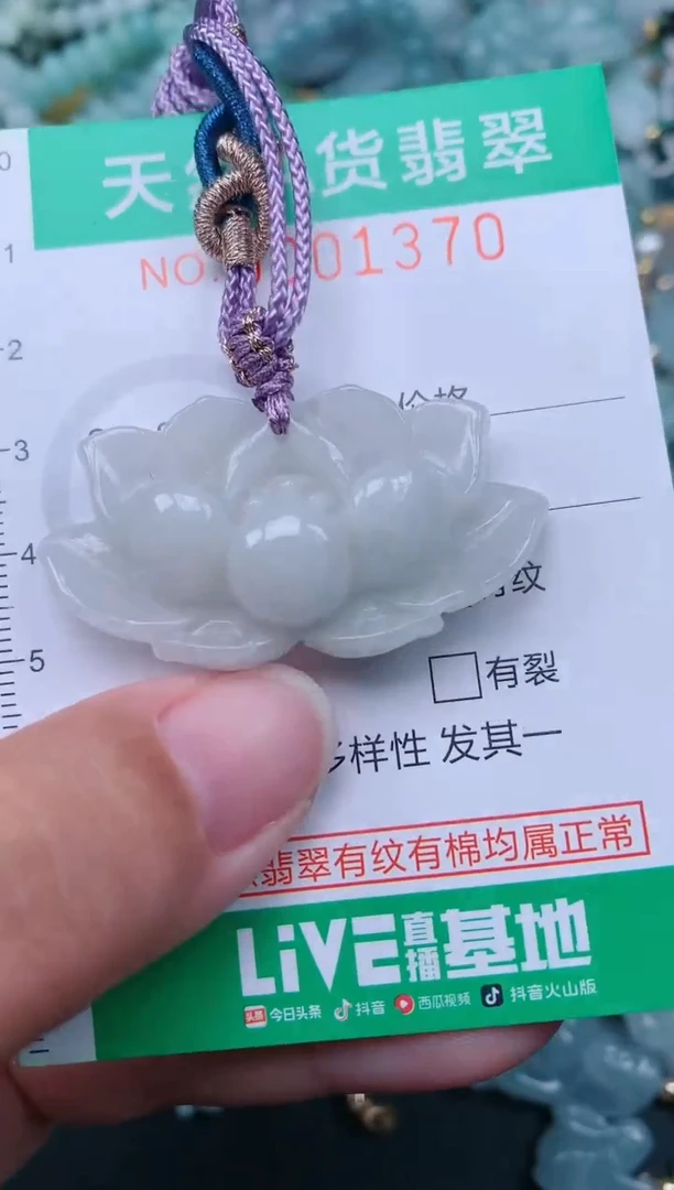 颈饰未镶嵌翡翠.0001370