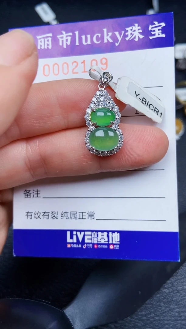 翡翠银S925镶嵌颈饰2109