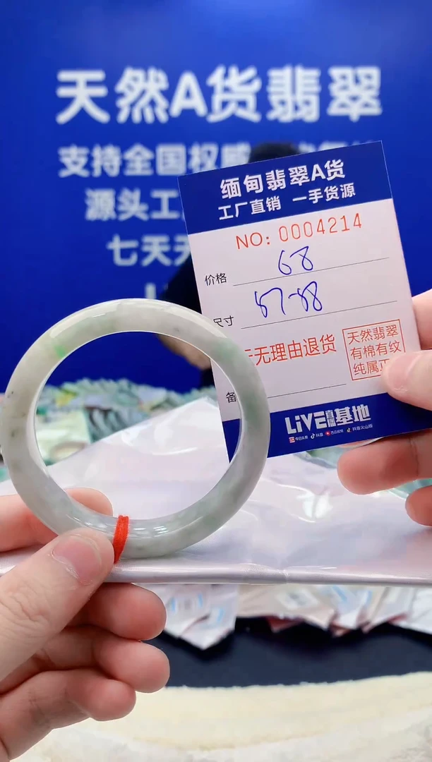 未镶嵌手镯翡翠14