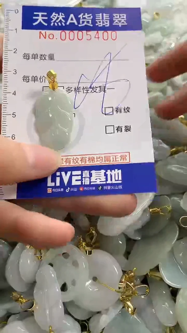 颈饰未镶嵌翡翠天然A货翡翠