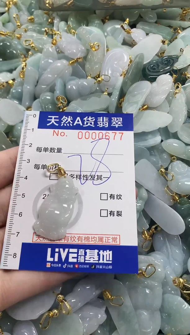 颈饰未镶嵌翡翠天然a货翡翠