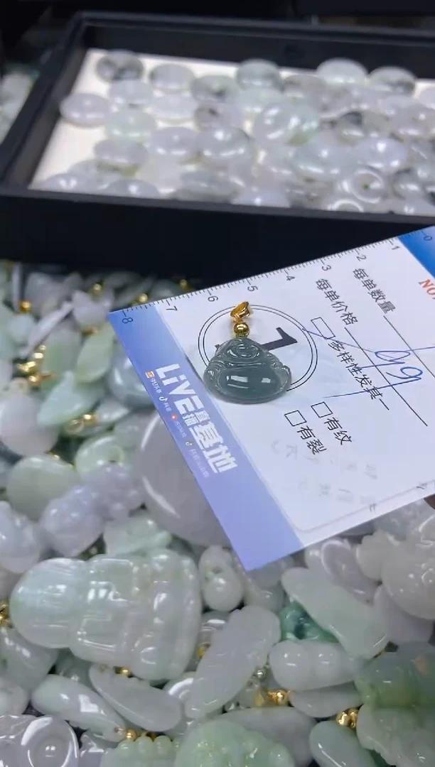 【闪购商品】翡翠颈饰未镶嵌闪购0084820多样性发其一