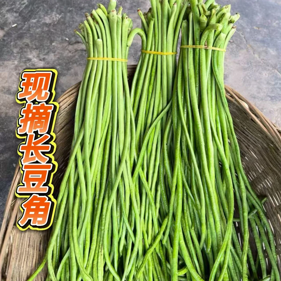 【满仓农场】现摘长豆角架豆3斤不泡药水（±2两）顺丰包邮新鲜