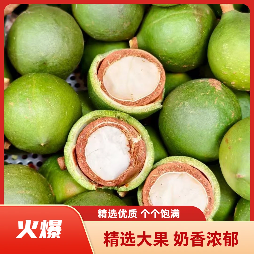 新鲜夏威夷果带青皮原味奶香澳洲生坚果孕妇宝宝坚果当季新货