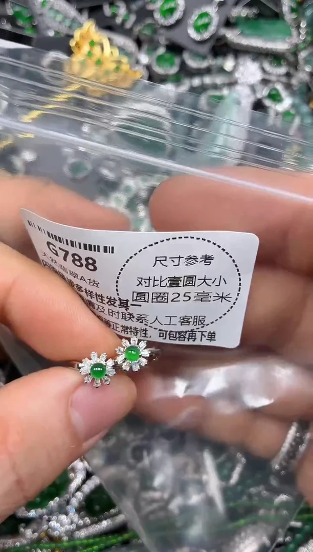 颈饰未镶嵌翡翠G788耳扣