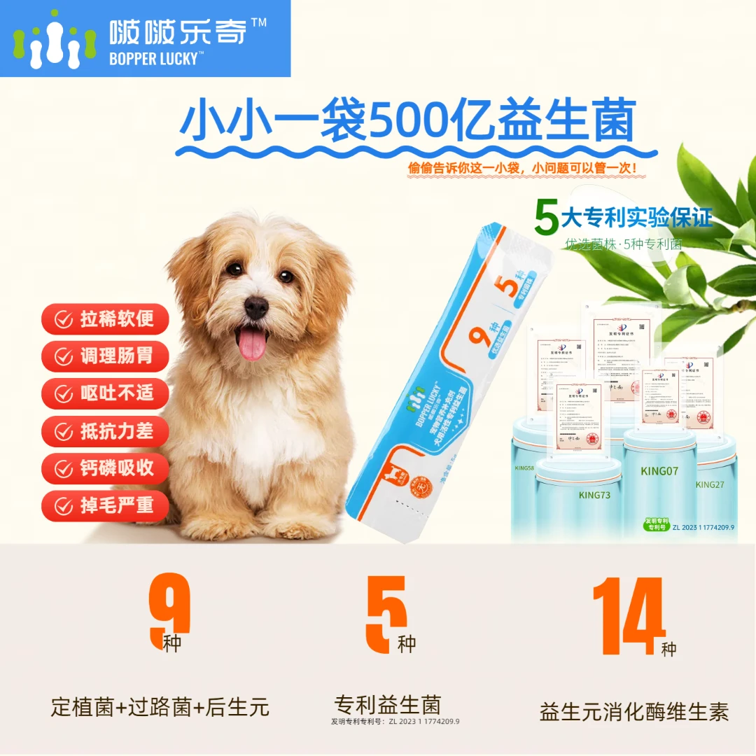 狗狗专用软便拉稀克星调理肠胃宠物必备物品宠物益生菌