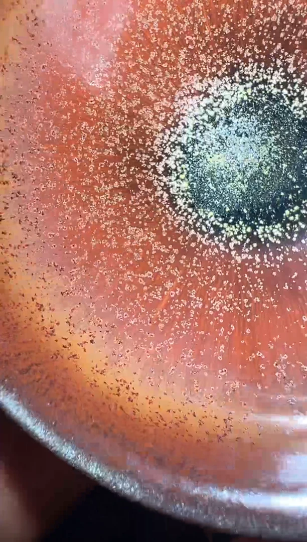 【闪购商品】茶盏老表精选柴烧16