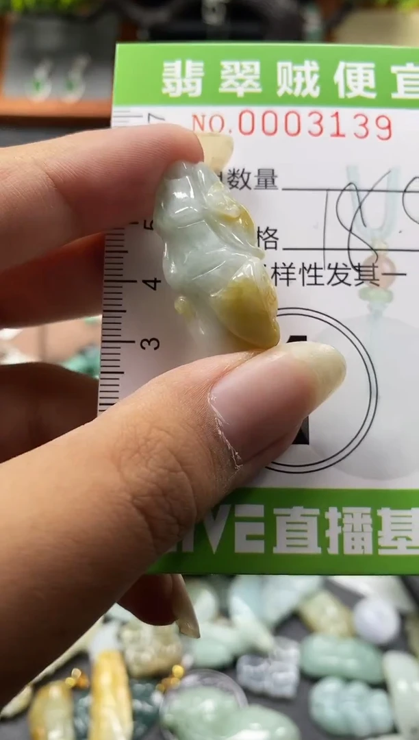 翡翠未镶嵌颈饰C闪购0003139