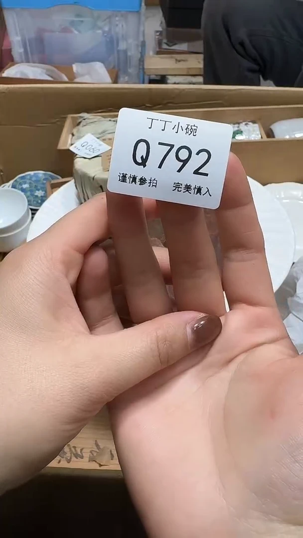 瓷片若*792          雪