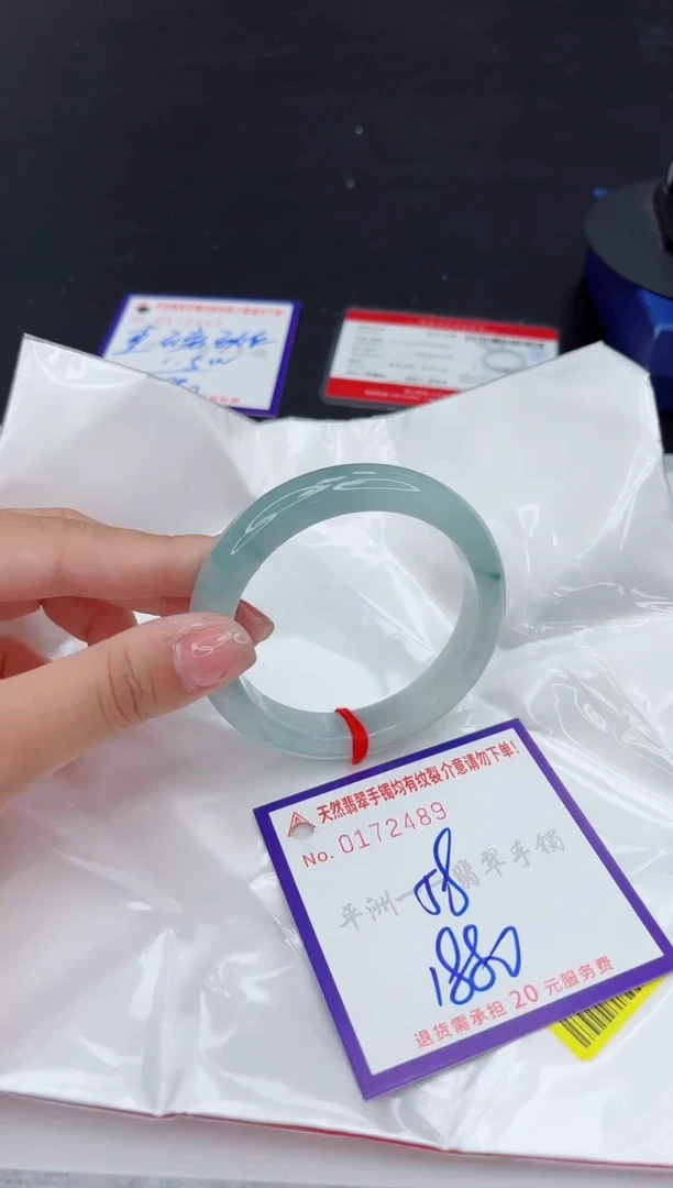 未镶嵌手镯翡翠1