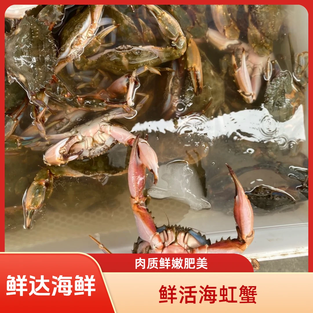 【保鲜不保活】只只鲜活海虹蟹3斤起两