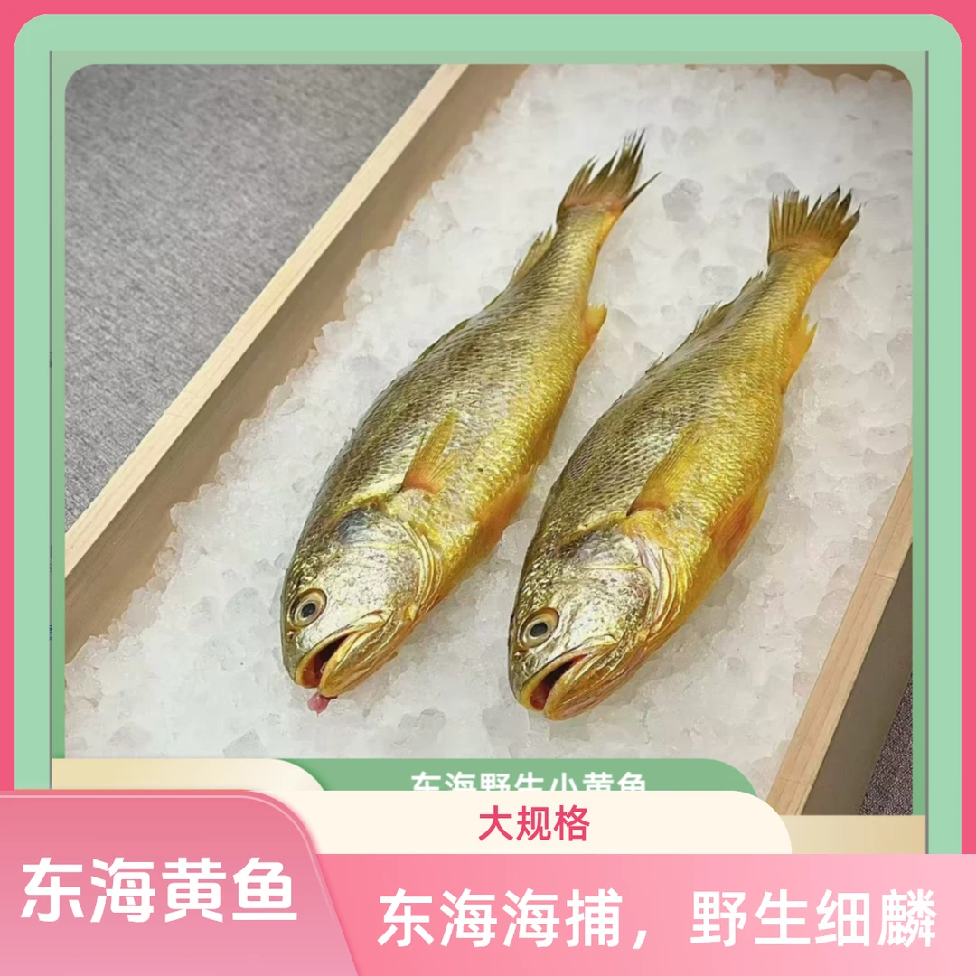 (6条/斤，到手净重3斤 ）东海深海捕捞小黄鱼细鳞黄鱼顺丰急冻发货