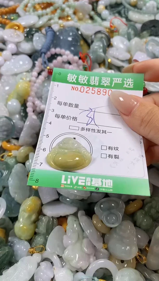 翡翠未镶嵌颈饰闪购0258904