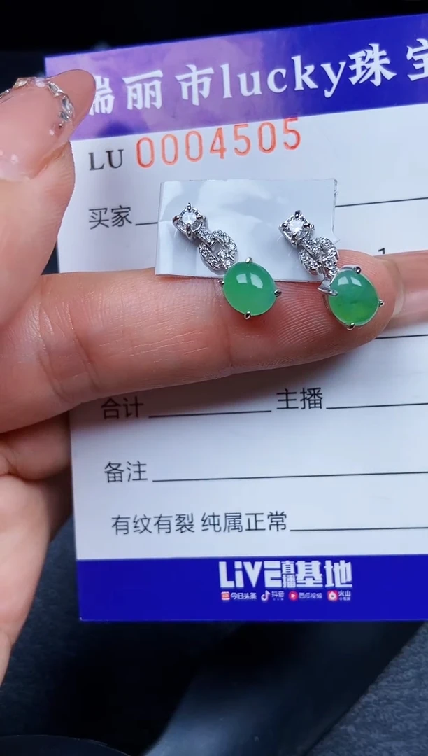 翡翠银S925镶嵌颈饰4505