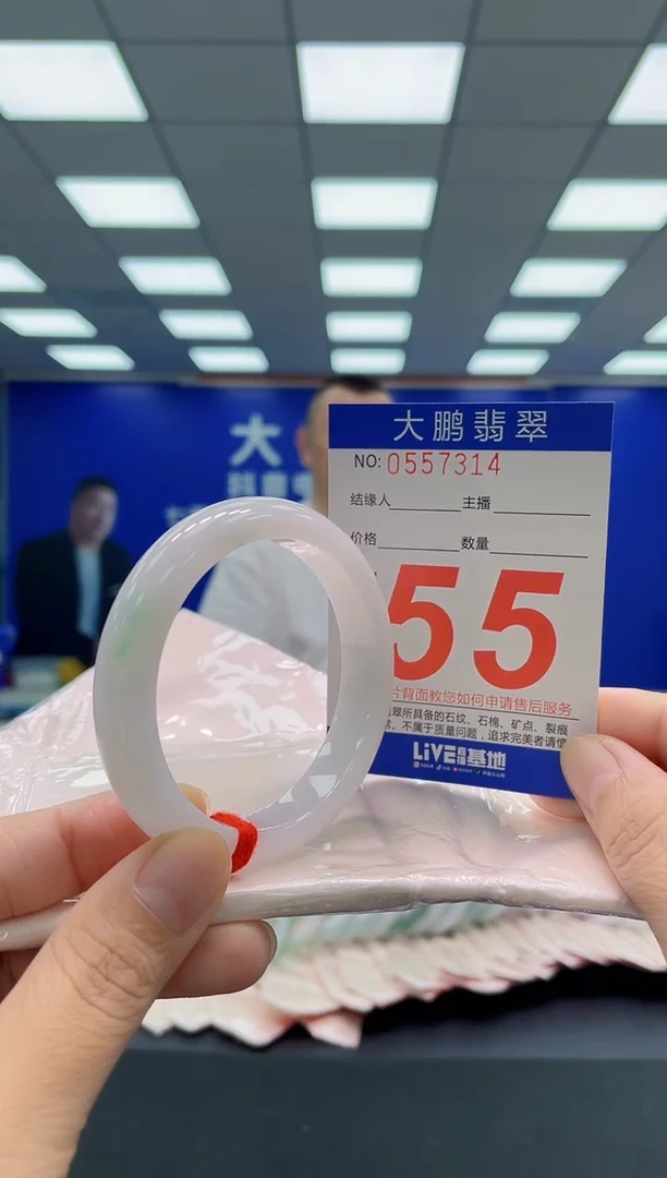 未镶嵌手镯翡翠AAAAAAAAA