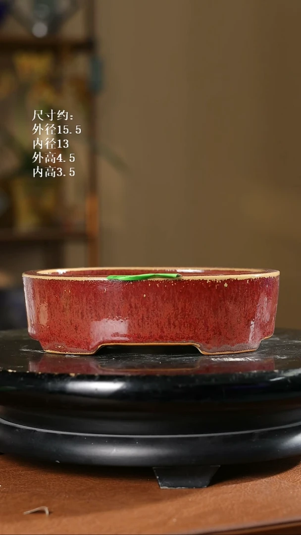 599      6寸椭圆盆