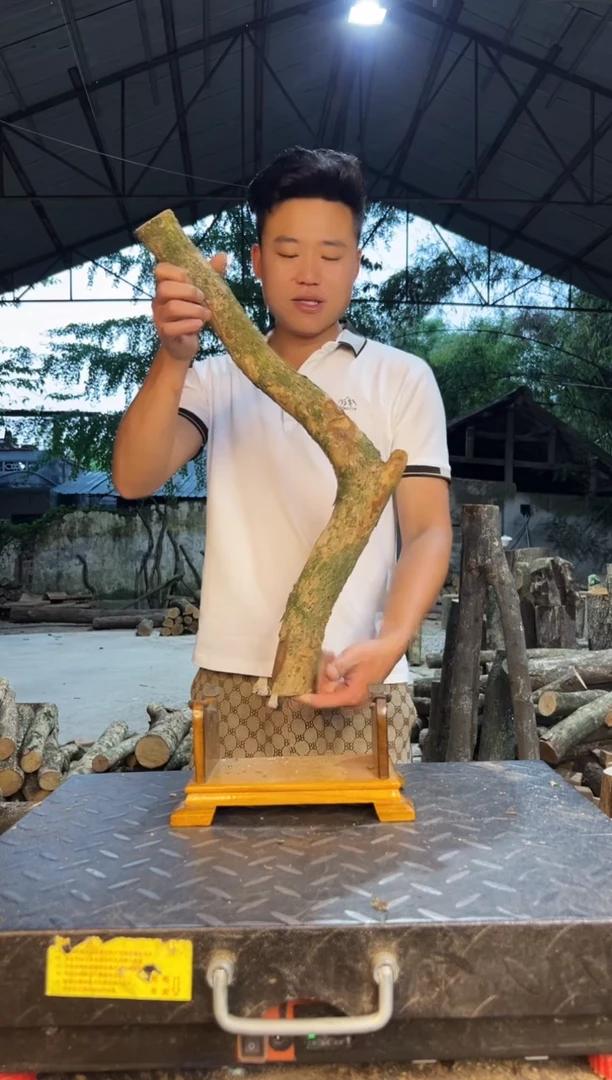 四川小叶桢楠金丝楠木