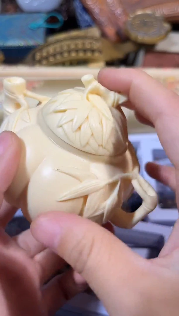 黄杨木11111111111111