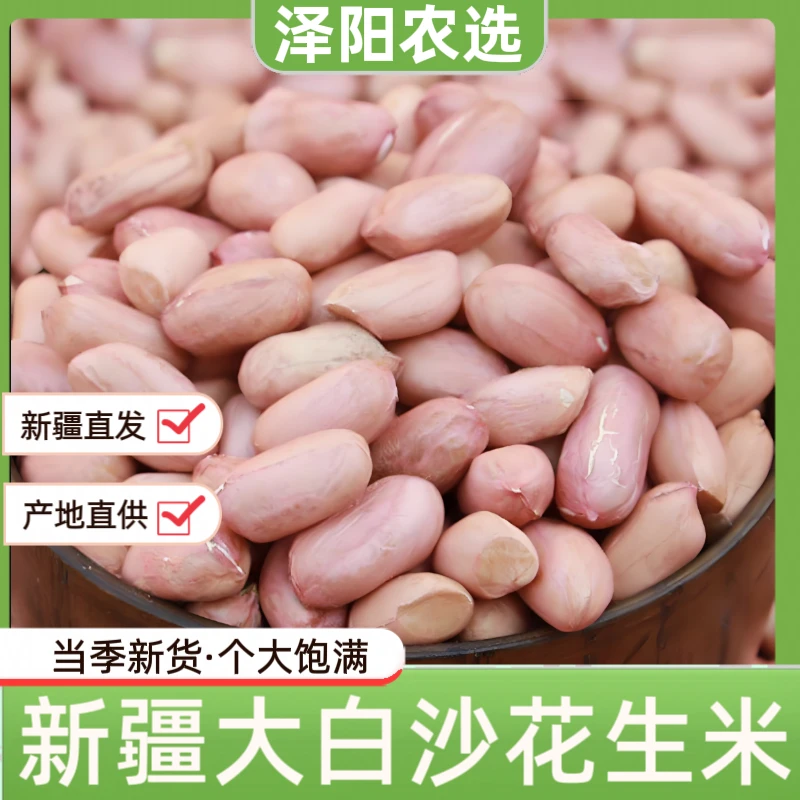 【泽阳农选】精品新疆大白沙花生米（大颗粒）