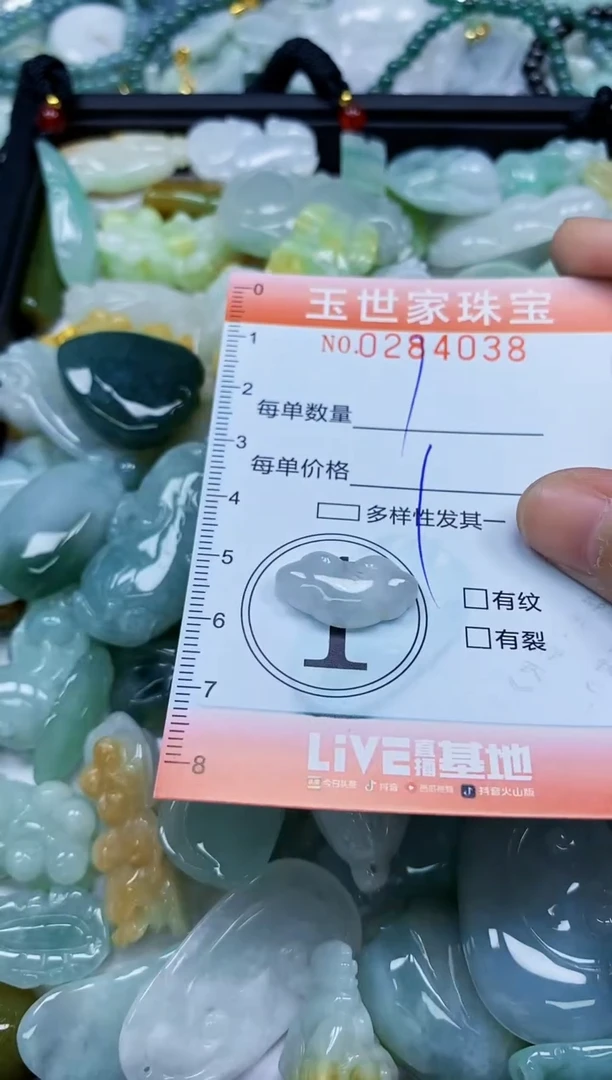 翡翠未镶嵌颈饰闪购0284038