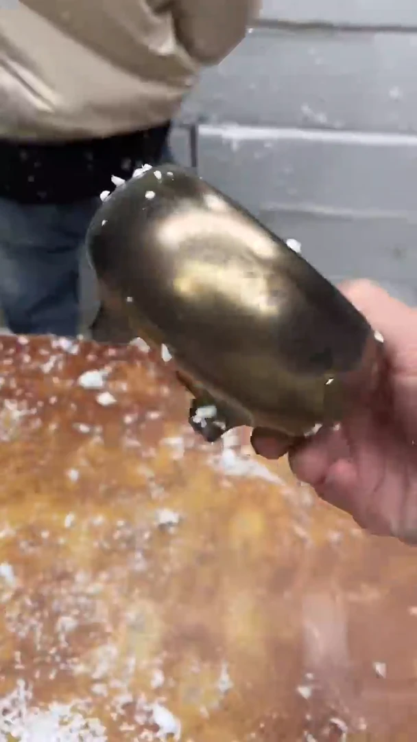 瓷片其他其他其他其他