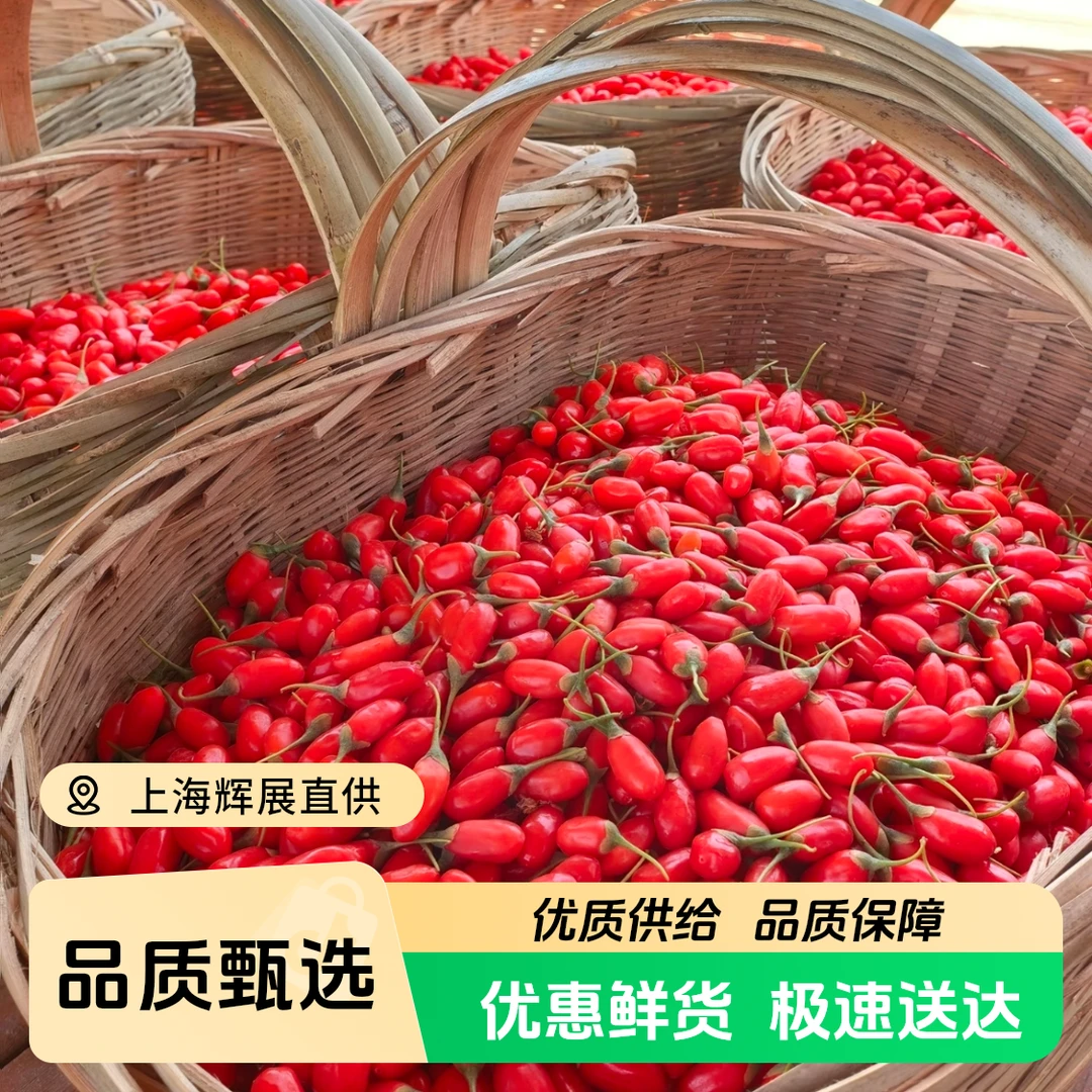 宁夏新鲜枸杞鲜果现摘礼盒装水果