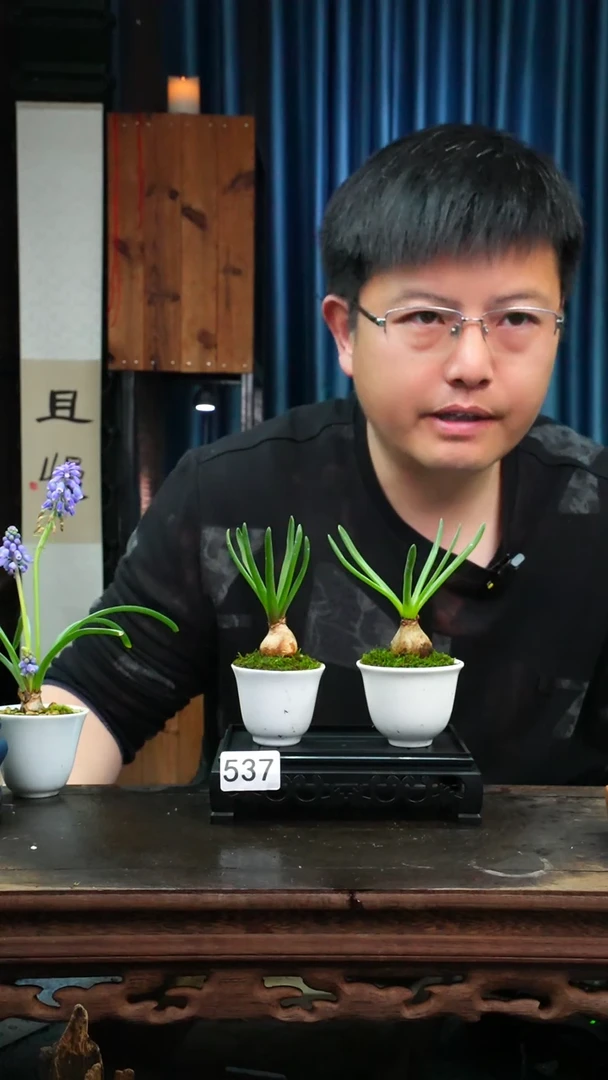 【闪购商品】苔藓微景观537号