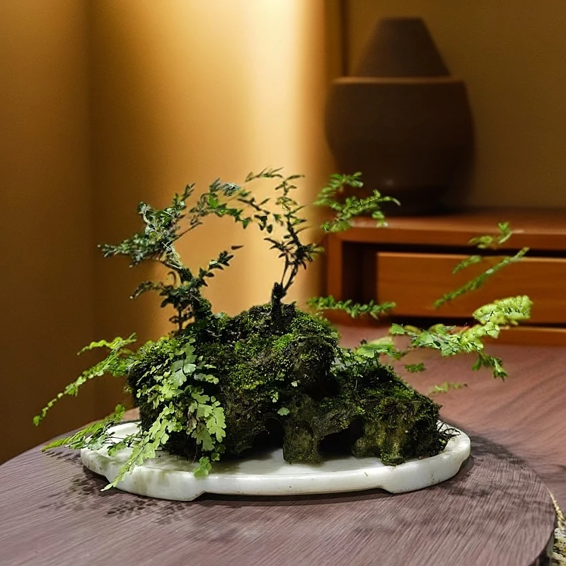 吴定石附寿庭木含盆汉白玉大理石盆