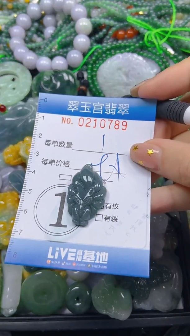 颈饰未镶嵌翡翠闪购C0210789