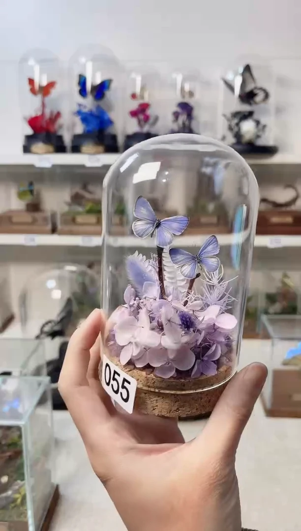 玻璃真实自然标本造景款55
