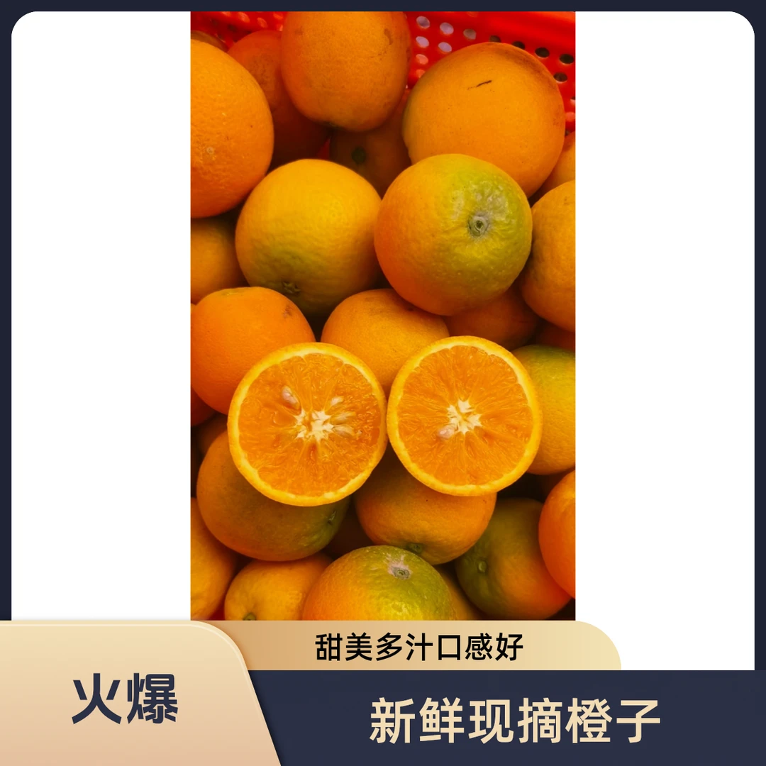 精选甜口伦晚橙