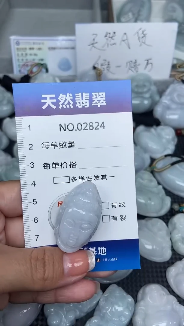 颈饰未镶嵌翡翠纯天然A货翡翠2824