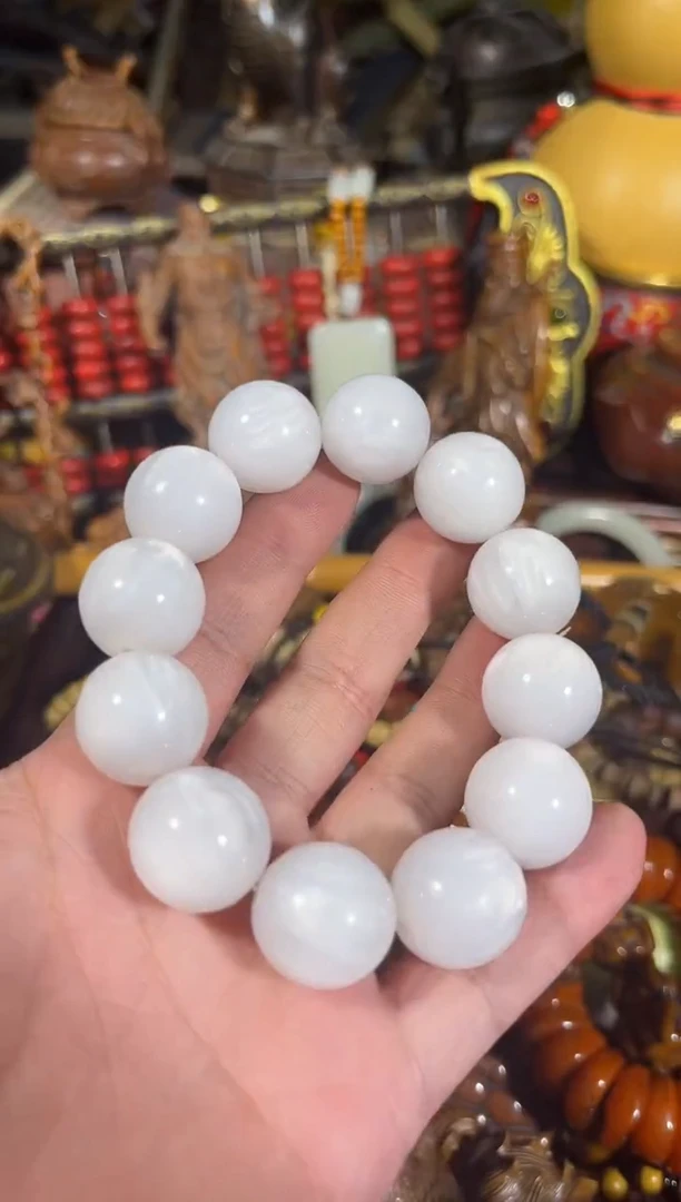 黄杨木11111111111111111111