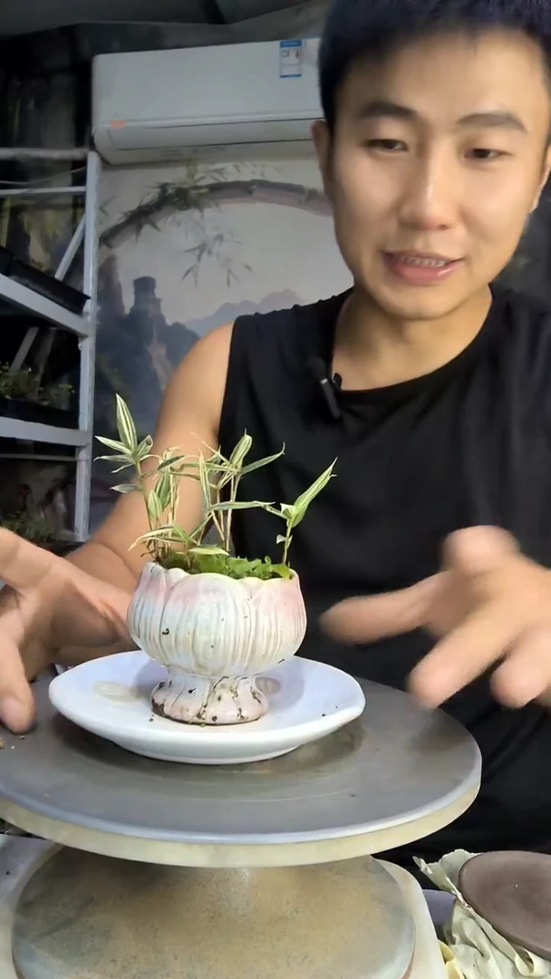 若*?中青园艺一物一拍85
