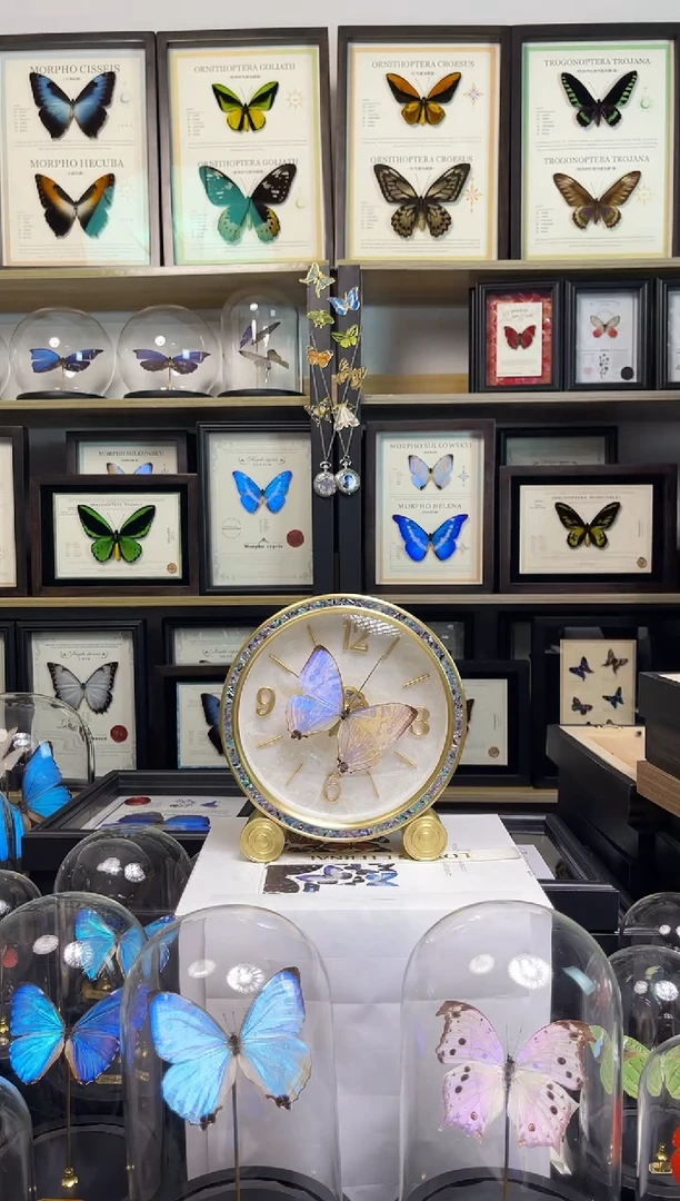 夜明珠闪蝶 古铜钟表