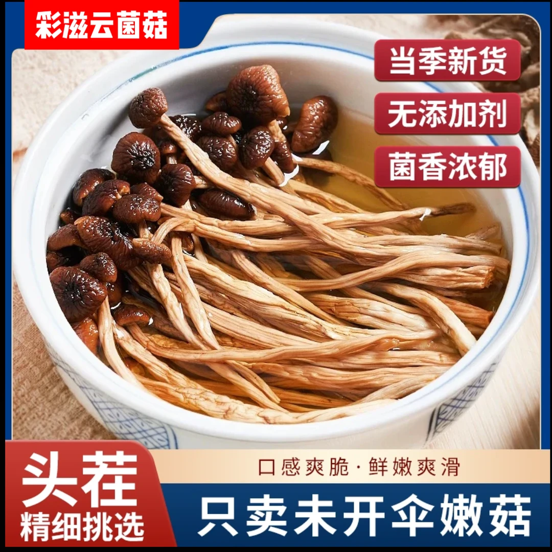 【年终狂欢·双12】云南富硒茶树菇 原产地直发脆嫩鲜香无熏硫食用菌