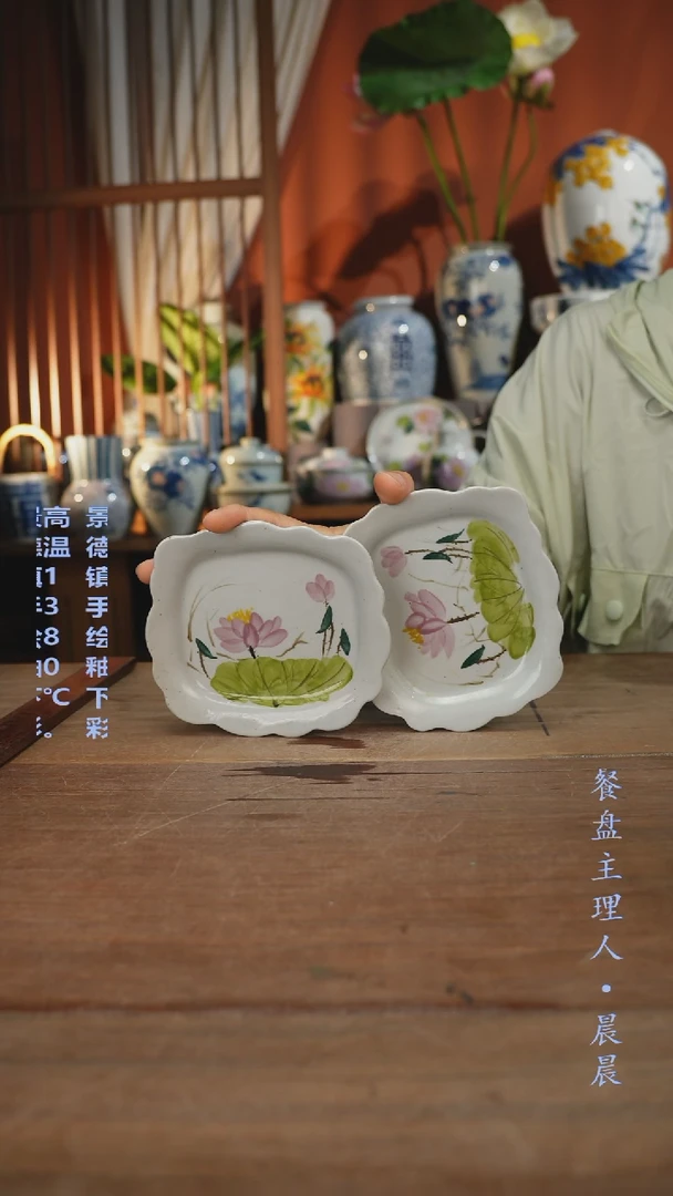 瓷片【简家甄选】景德镇设计师釉下手绘陶瓷餐具