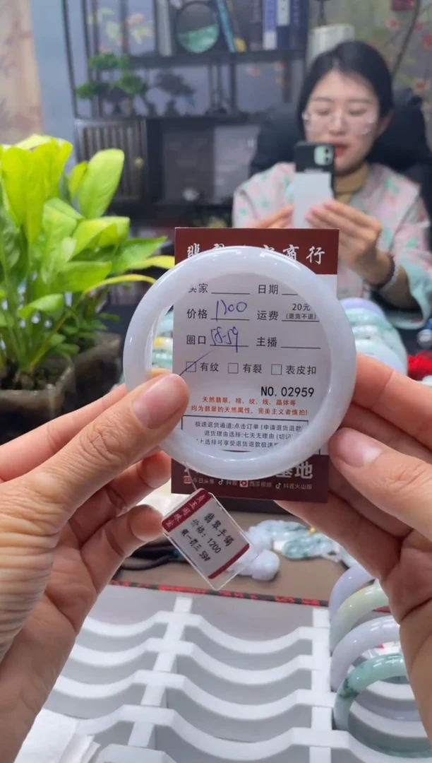 未镶嵌手镯翡翠2959