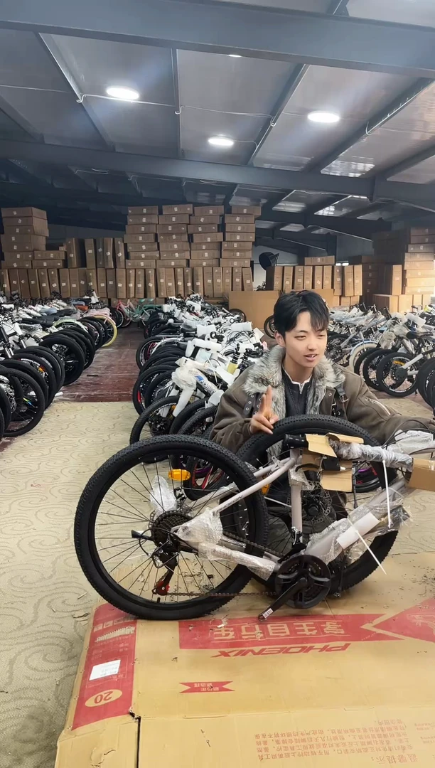 24寸-24速-棕【默认微瑕，不退不换，介意勿拍】